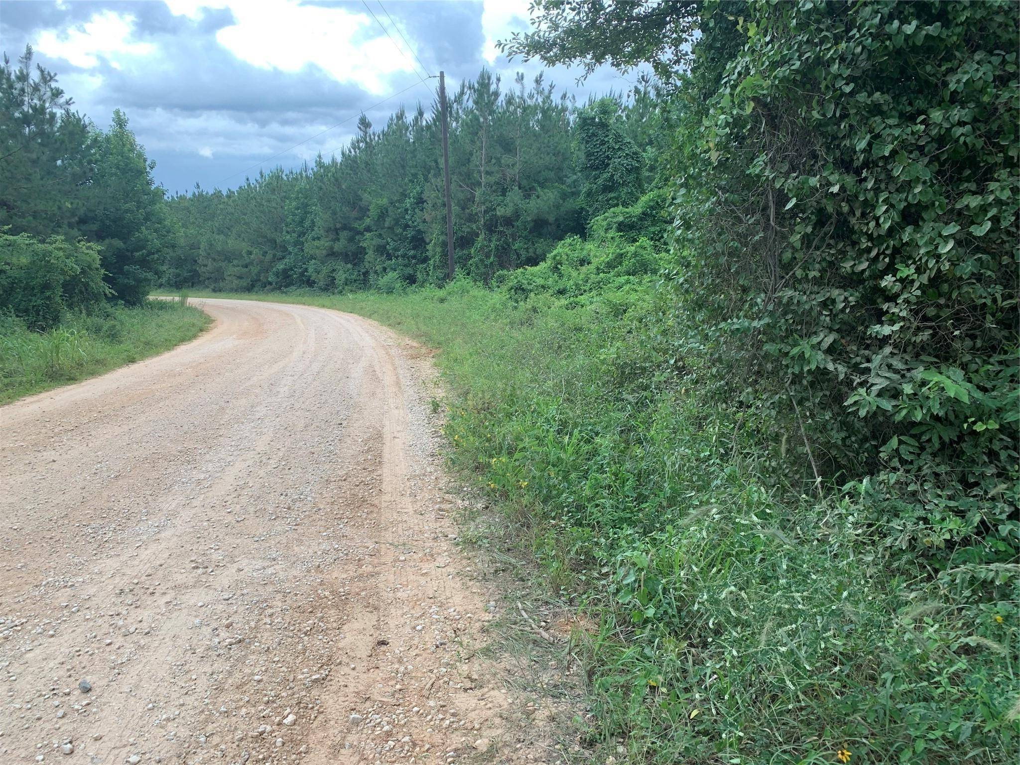 Nacogdoches, TX 75961,Lot 7 Cr-338