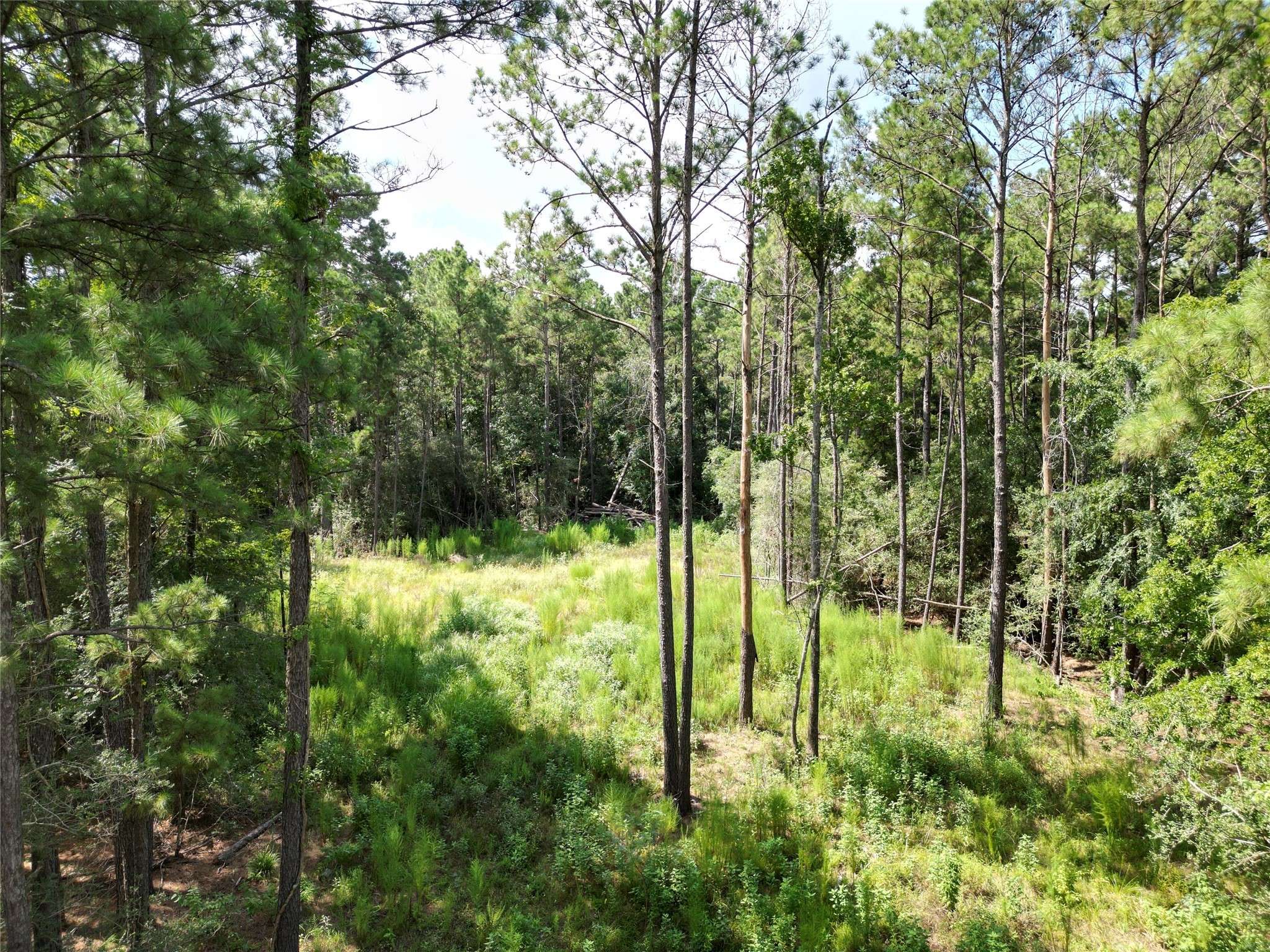 Plantersville, TX 77363,9416 Pecan RD