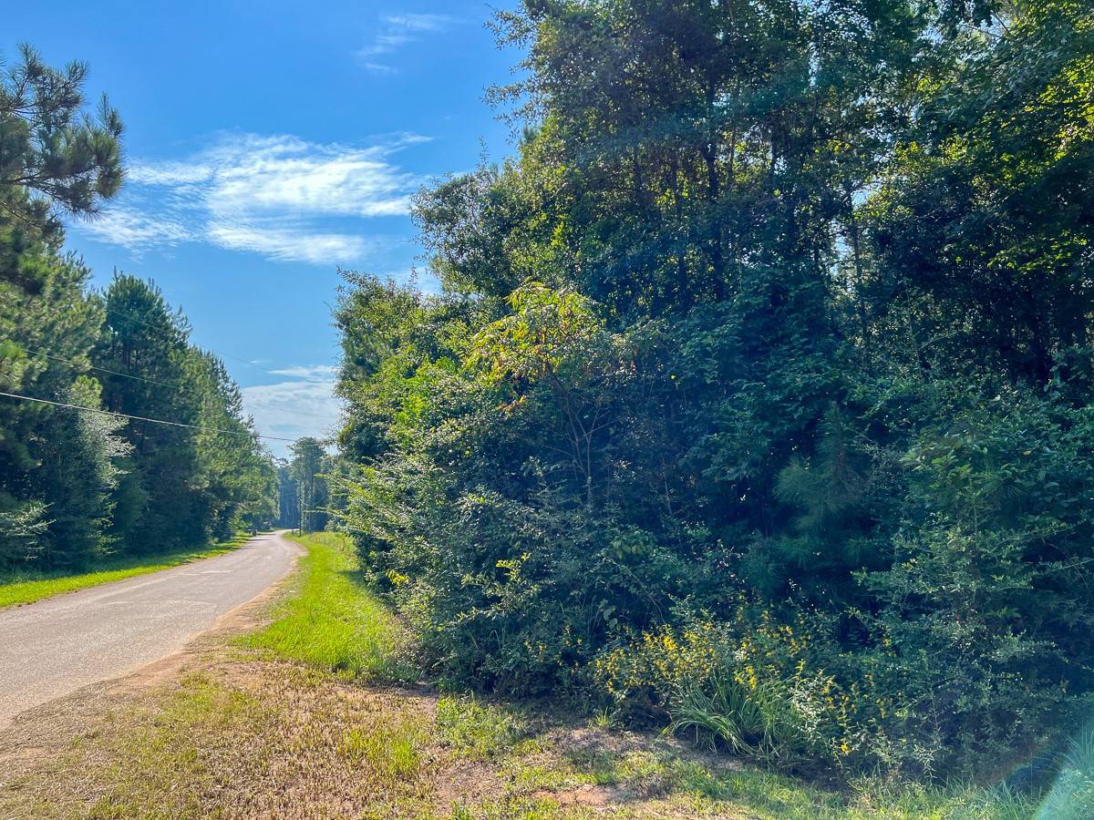 Warren, TX 77664,4 County Road 1325