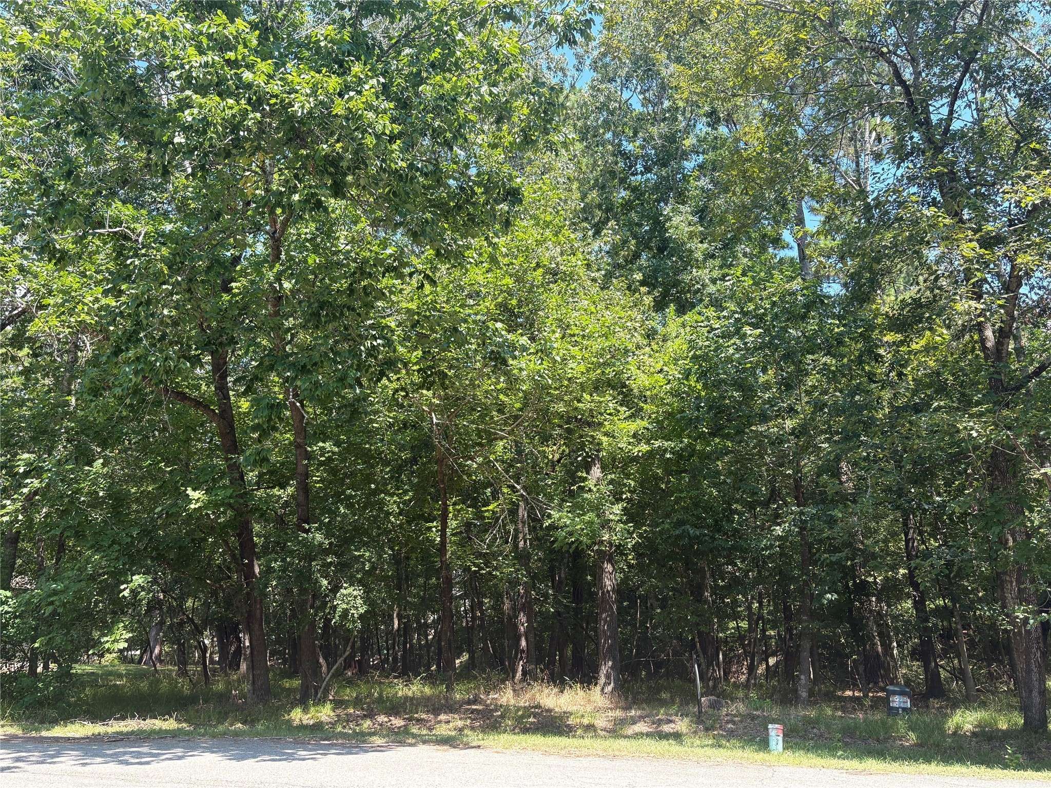 Coldspring, TX 77331,11 & 15 S Pine Harbour DR