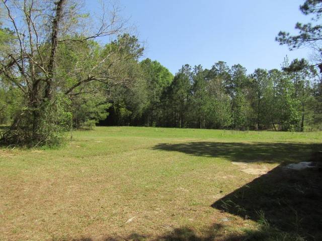 Livingston, TX 77351,1395 Old Providence RD