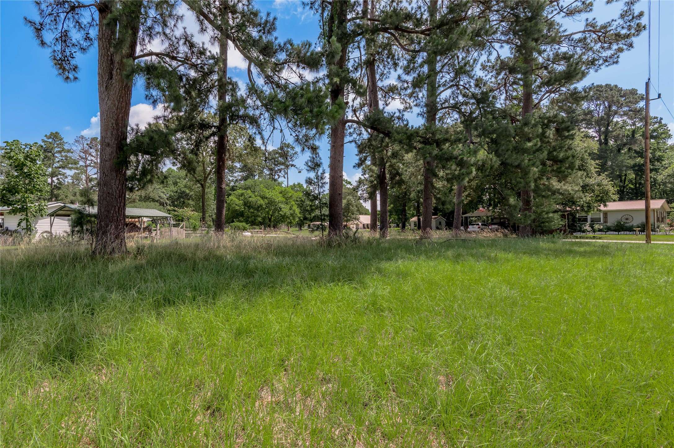 Trinity, TX 75862,Lot 15 Hermitage ST