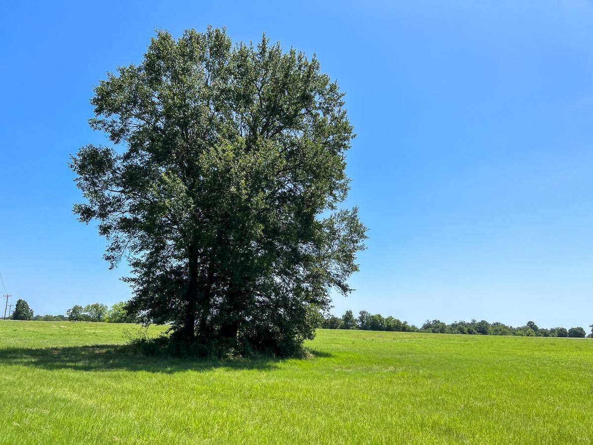 Lovelady, TX 75851,17 County Road 3630