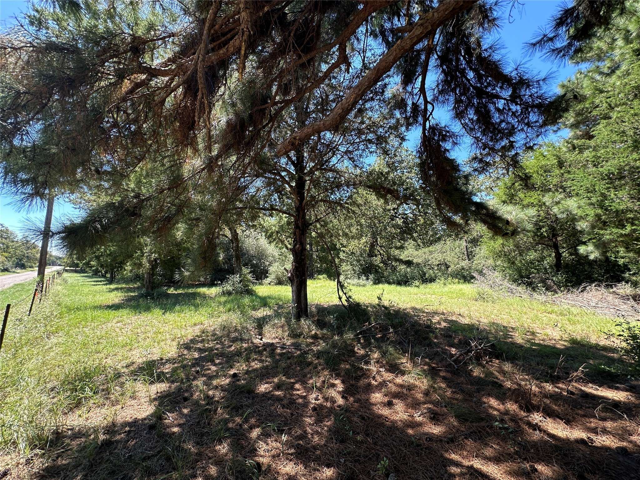 Centerville, TX 75833,TBD TR 3 CR 481
