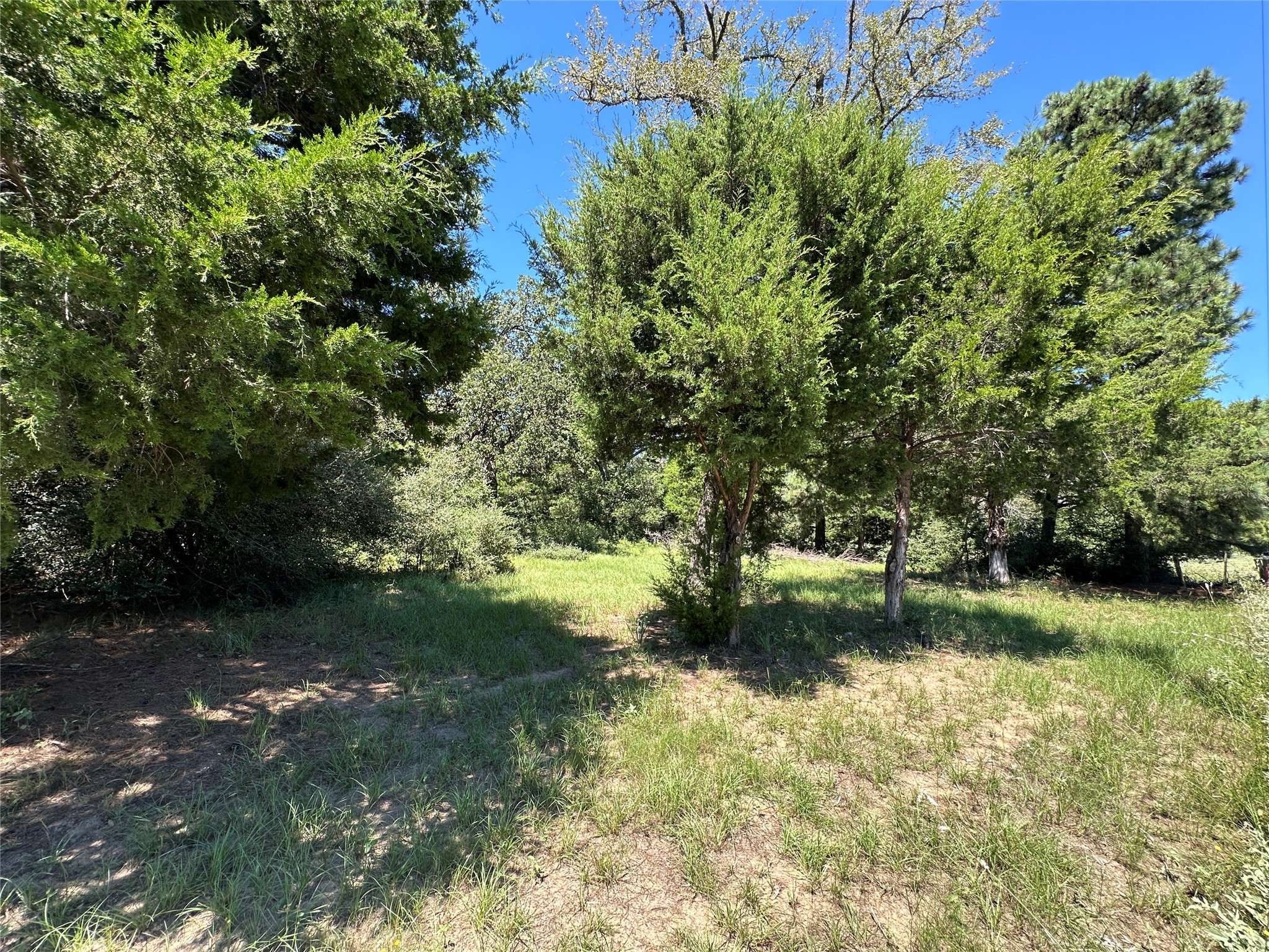 Centerville, TX 75833,TBD TR 3 CR 481