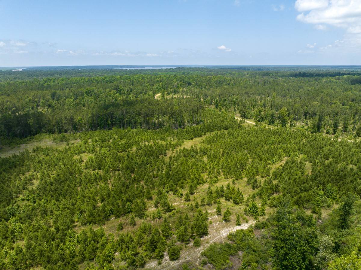 Trinity, TX 75862,TBD Chita Cemetery Road