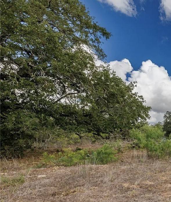 Hallettsville, TX 77964,TBD County Road 1g