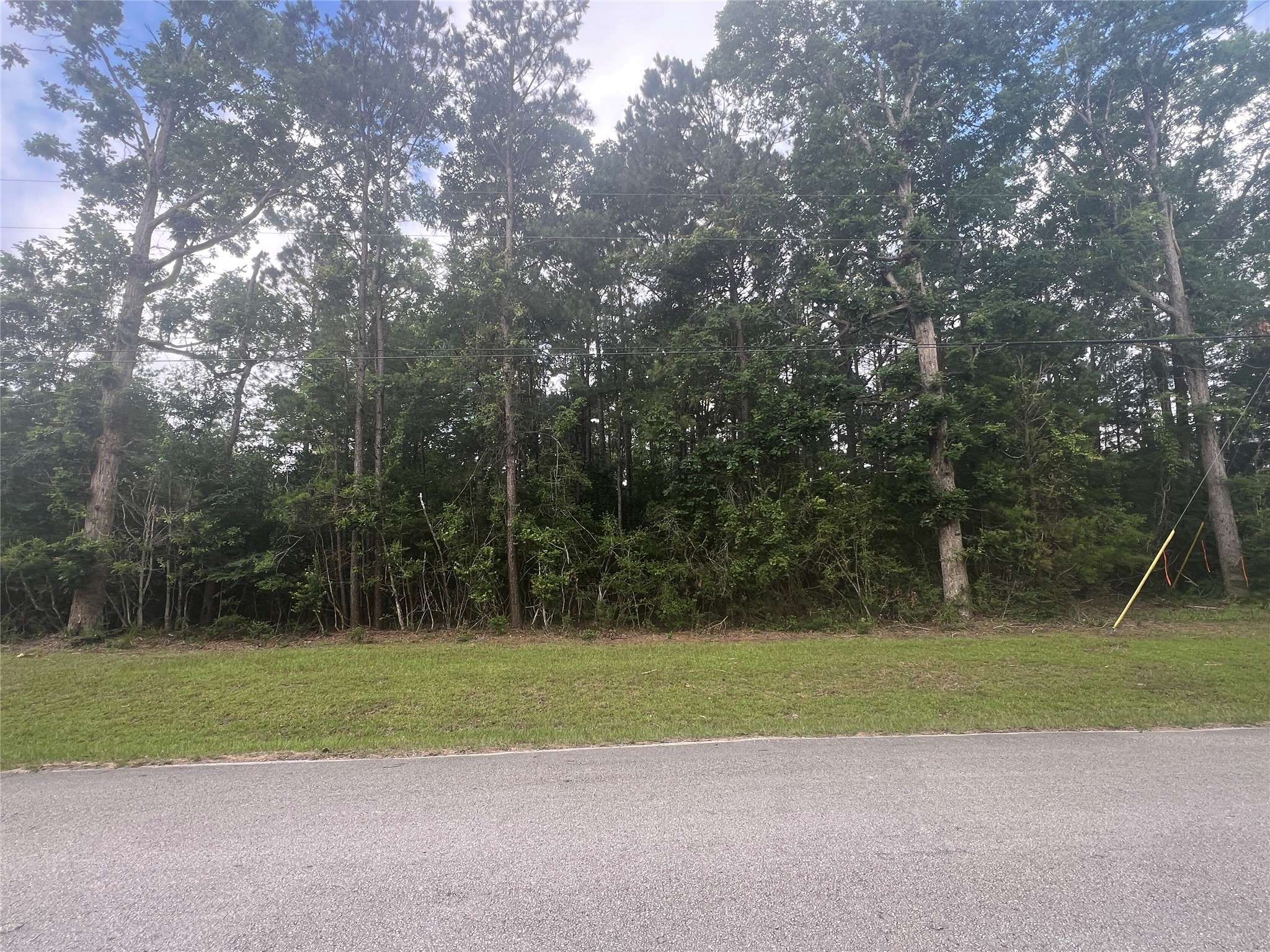 Livingston, TX 77351,319 Lost Lake TRL