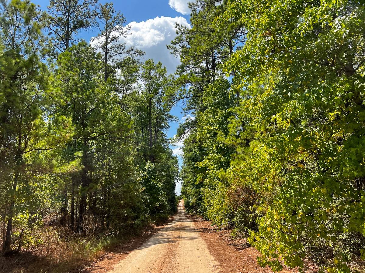 Huntsville, TX 77320,000 Off Lost Indian Camp Road