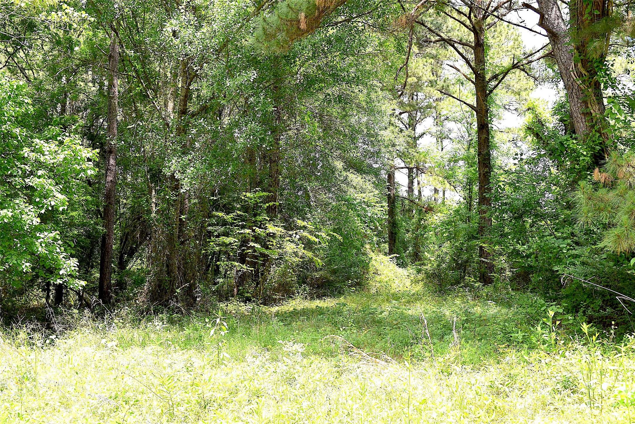 Huntsville, TX 77320,4414 Shady LN