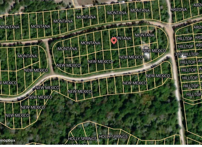 Normangee, TX 77871,Lot 6 Montana