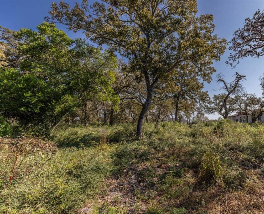 Boerne, TX 78006,11303 Stiehler HL