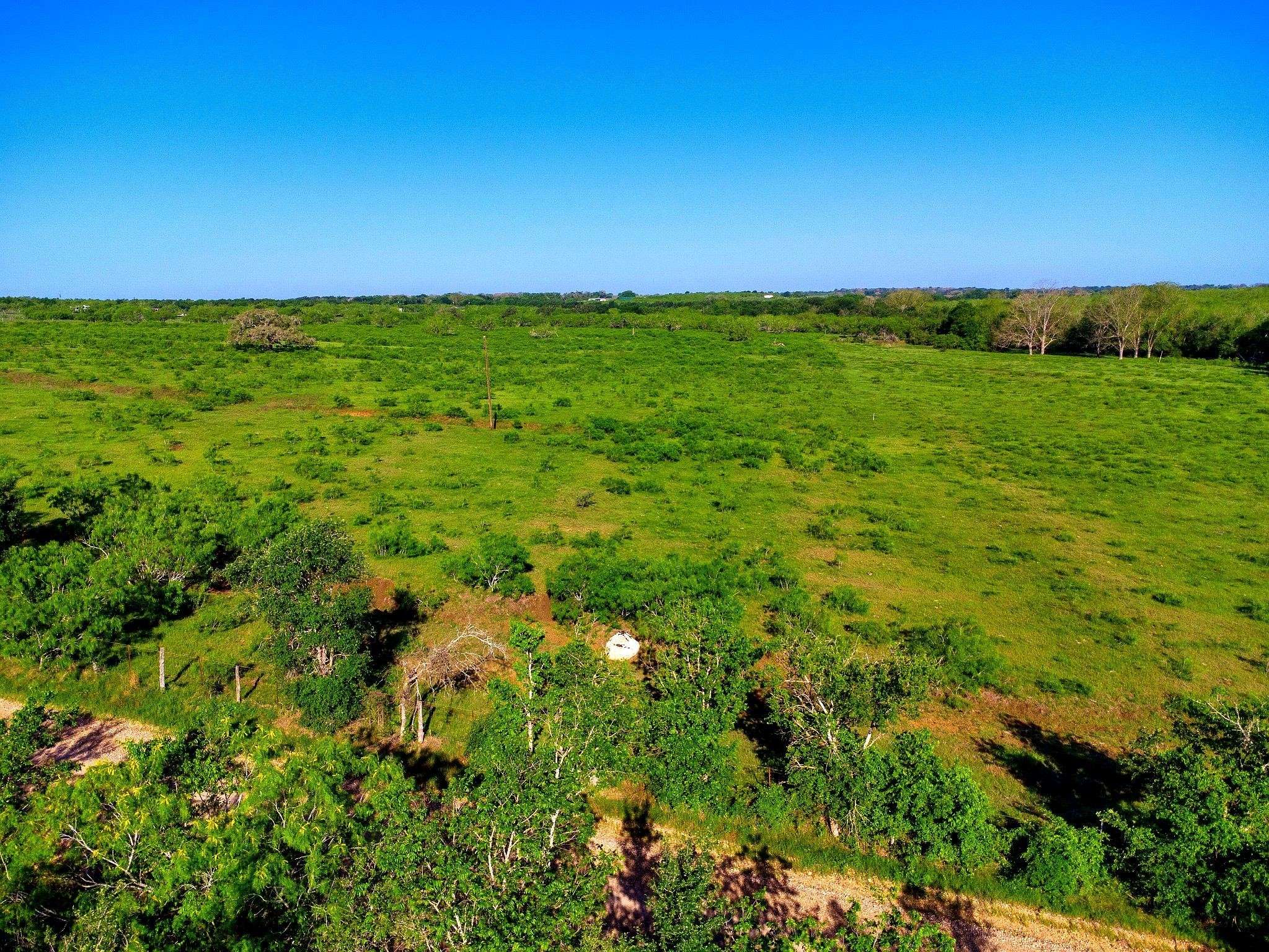 Waelder, TX 78959,TBD County Road 447