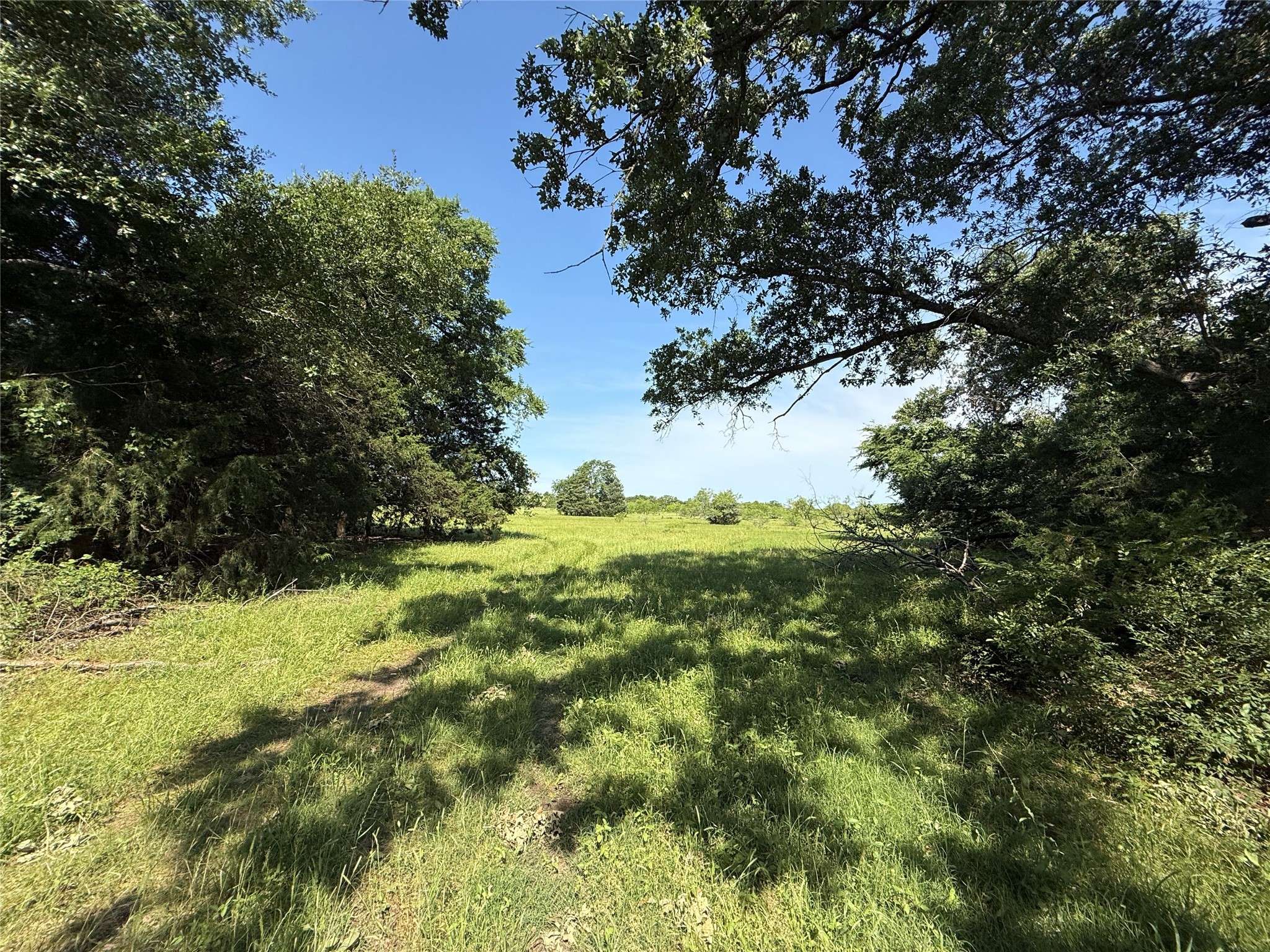 Teague, TX 75860,Tract 8 FCR 611