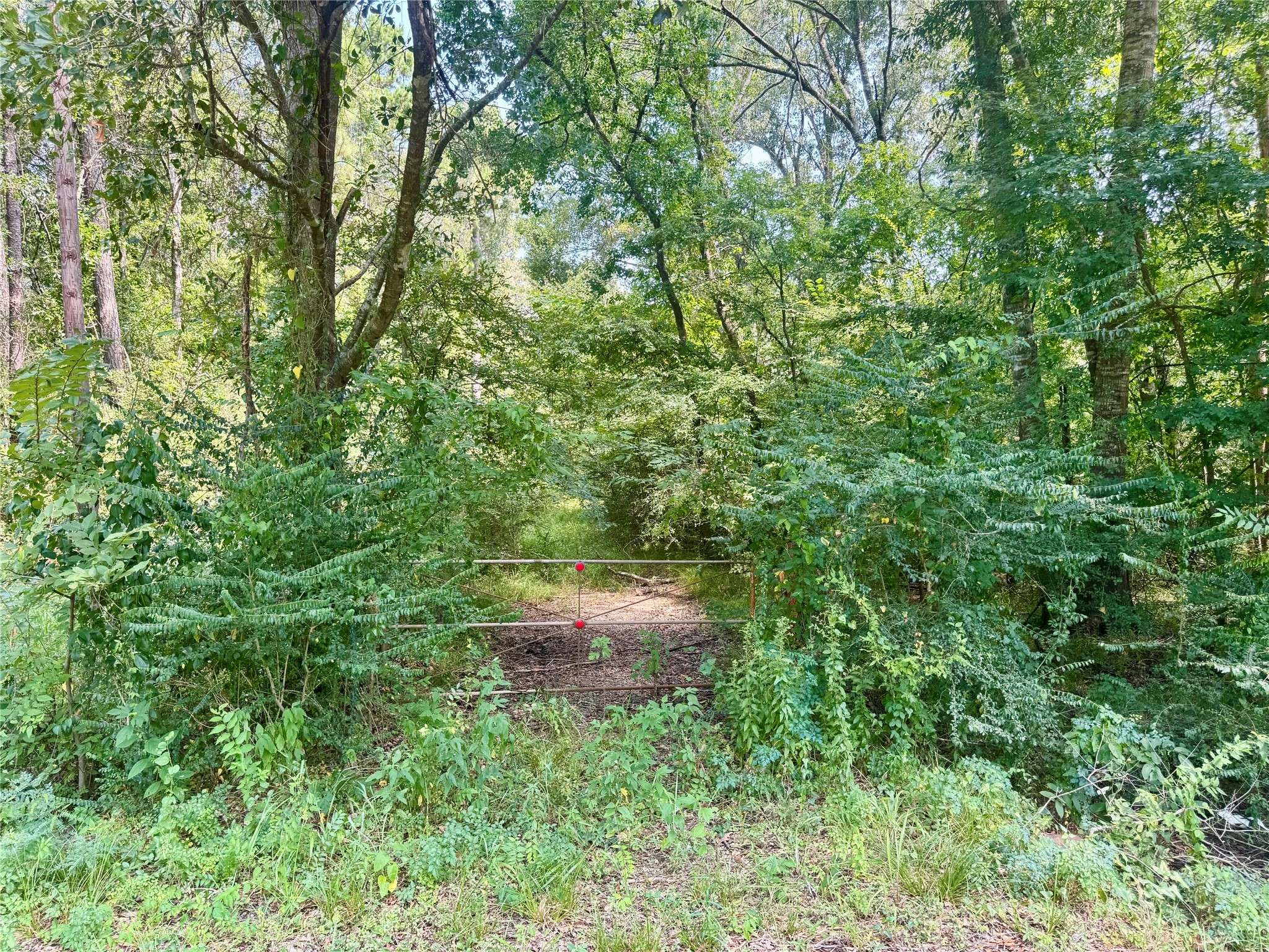 Coldspring, TX 77331,Lot 71 Dove Creek LN
