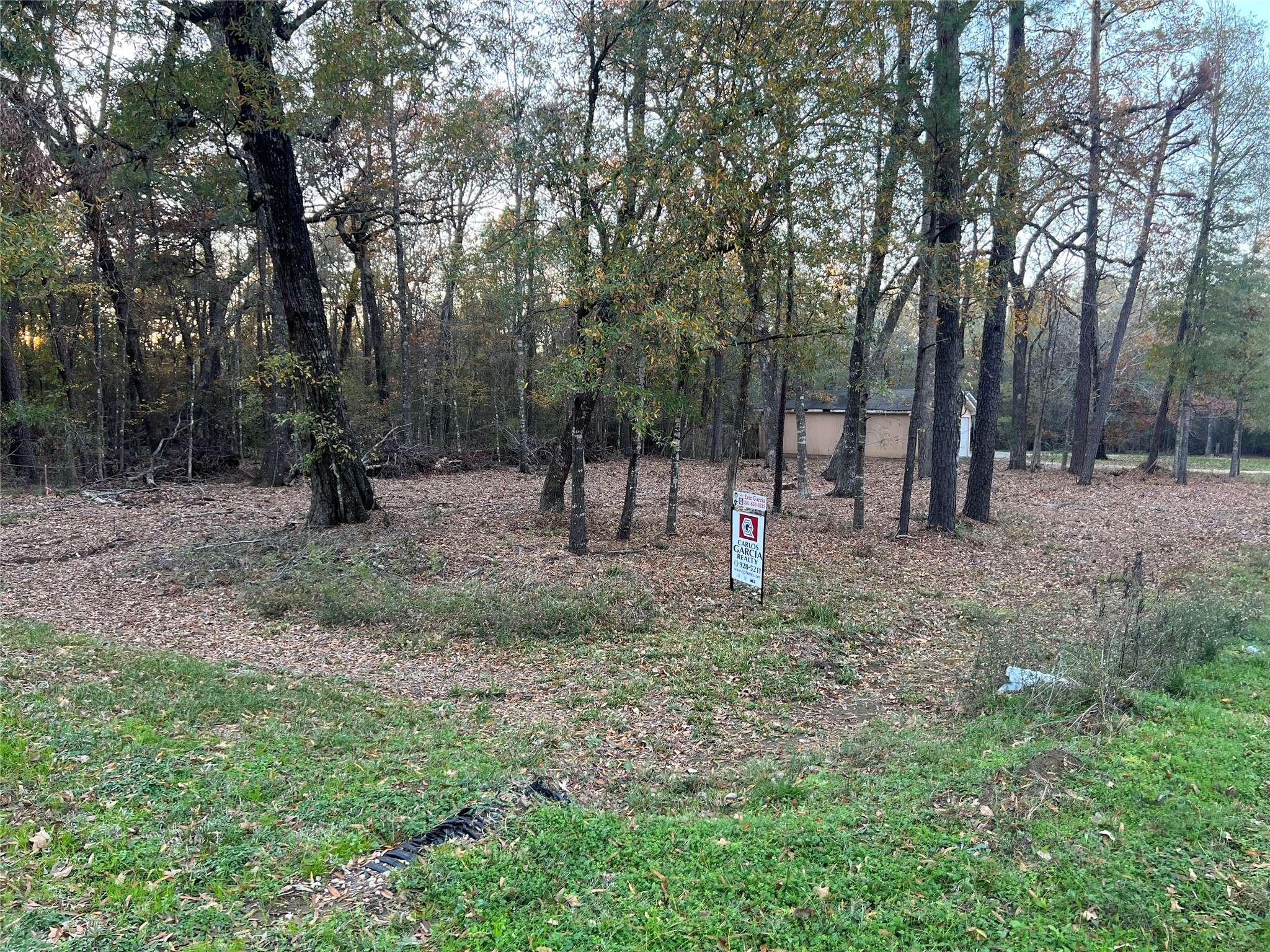 Livingston, TX 77351,0 Mossy DR