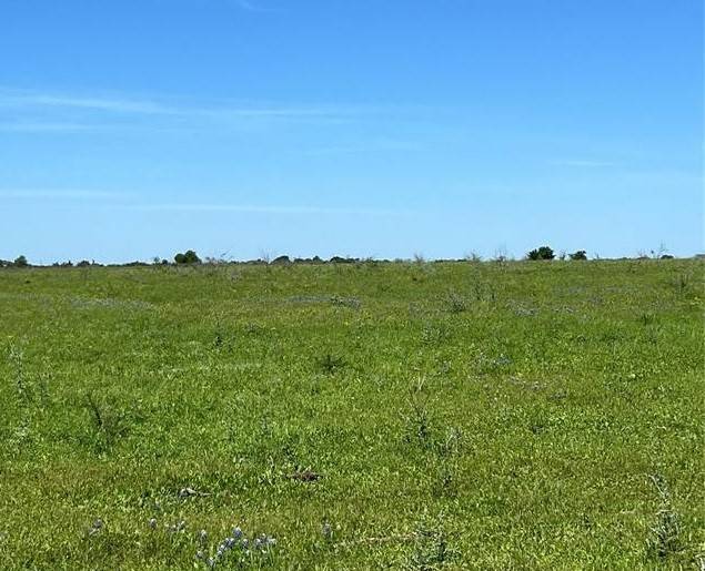 Chappell Hill, TX 77426,Lot 4 Chadwick Hogan RD