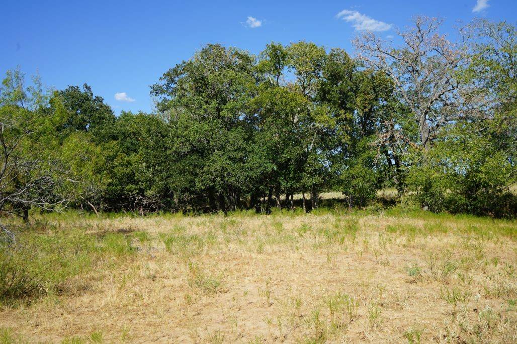 Milano, TX 76556,TBD 1 CR 236A