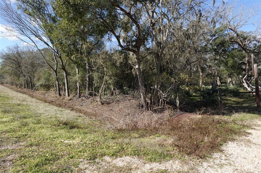 Cedar Lane, TX 77415,0 County Road 150 Boone RD