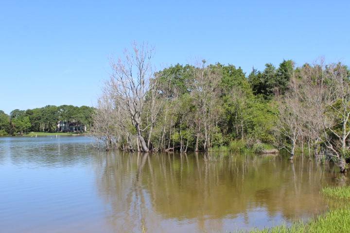 Normangee, TX 77871,Lot 4 Ovala