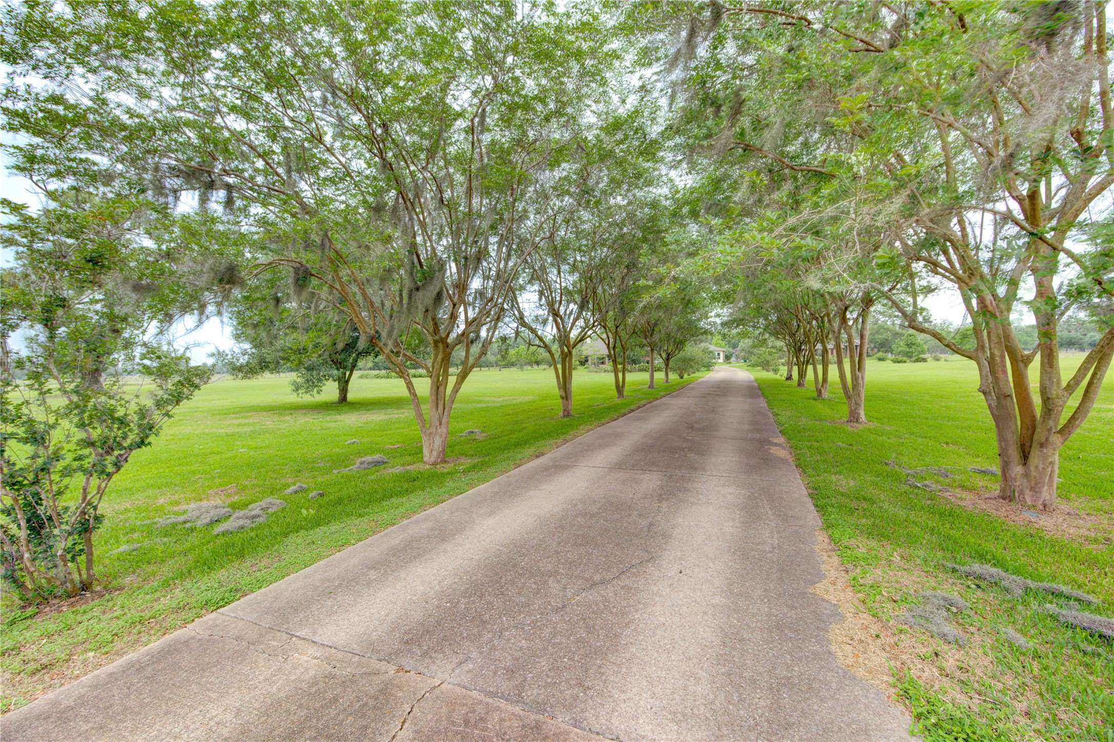Rosharon, TX 77583,2418 Majestic Oaks CT