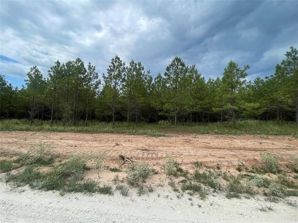 Huntsville, TX 77340,TBD Queen Anne Way