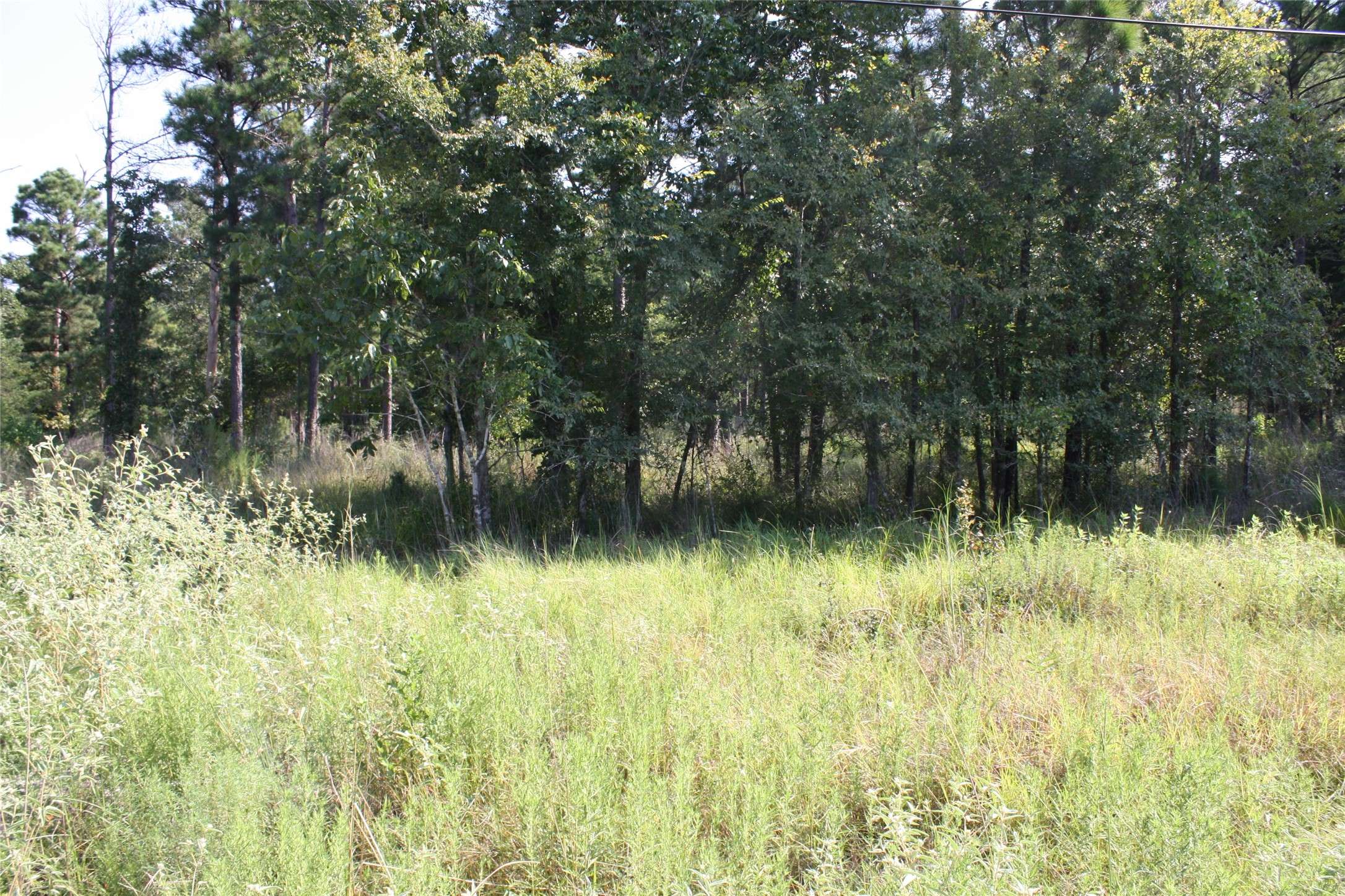 Huntsville, TX 77320,Lot 3 Morris LN