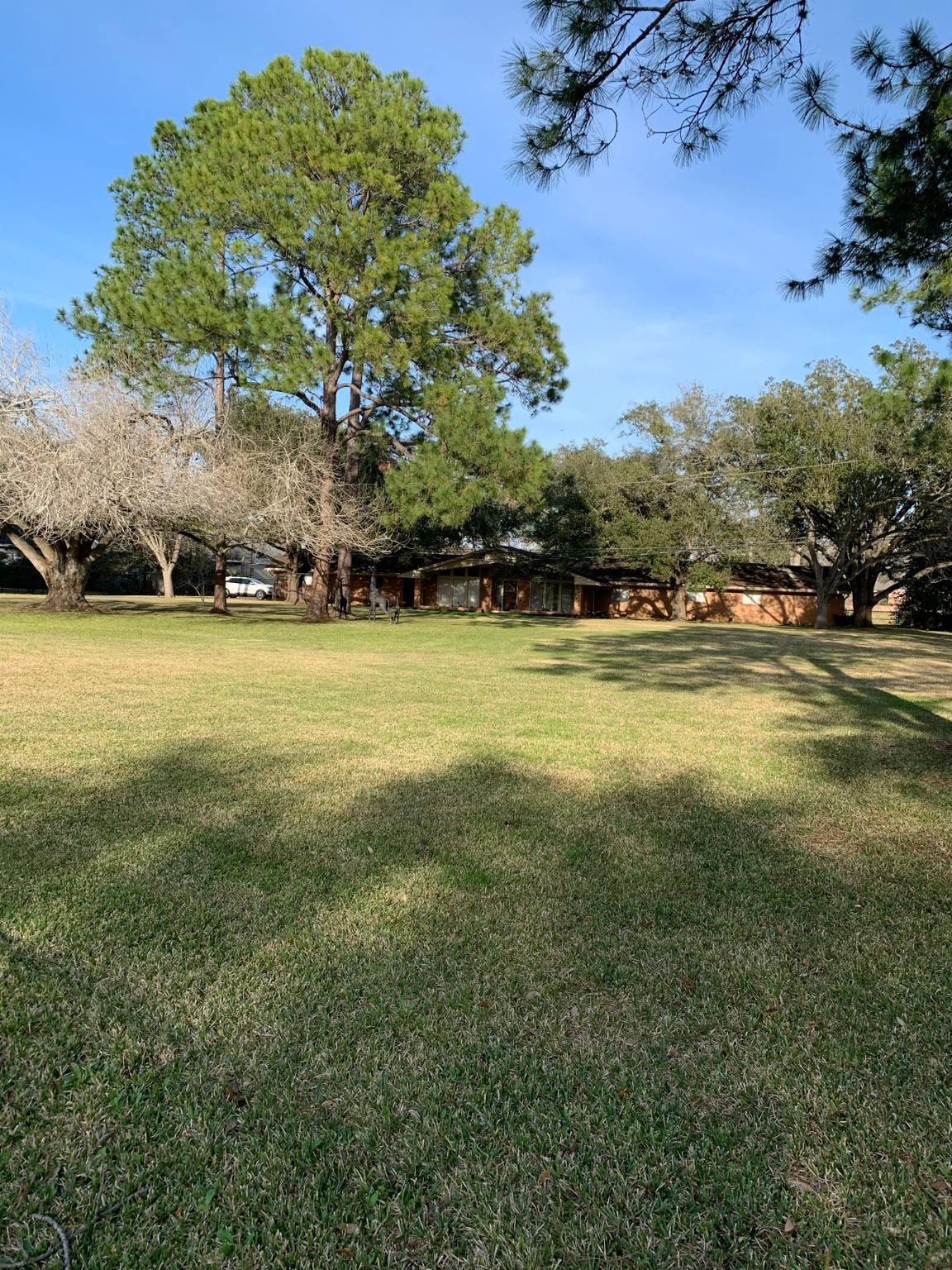 Sugar Land, TX 77478,307 W ALKIRE LAKE DR