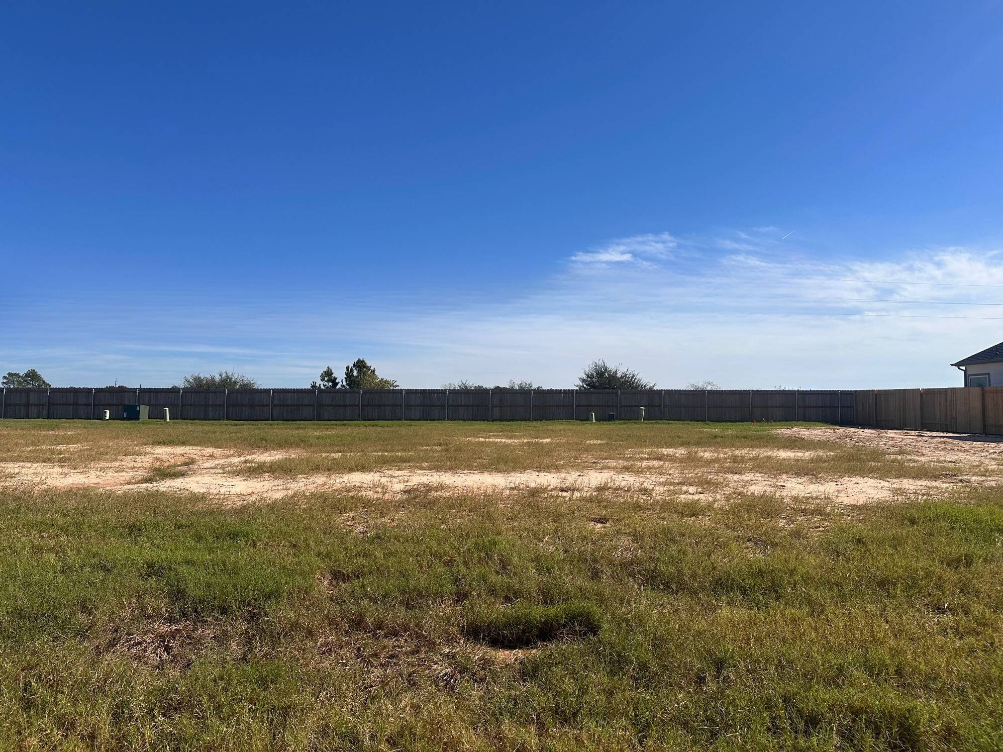 Houston, TX 77084,3842 Downy Birch LN