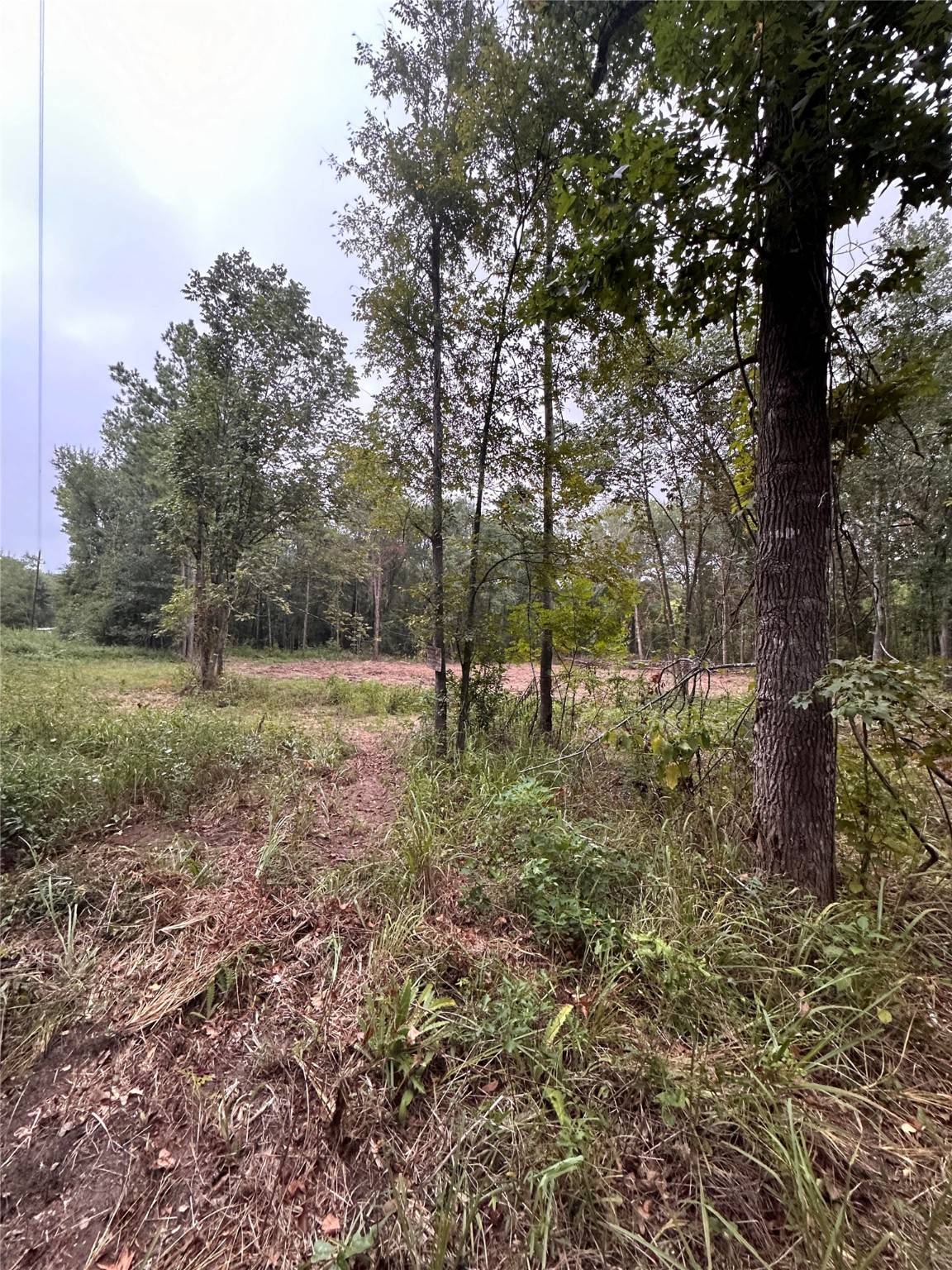 Plantersville, TX 77363,TBD Hollybrook DR
