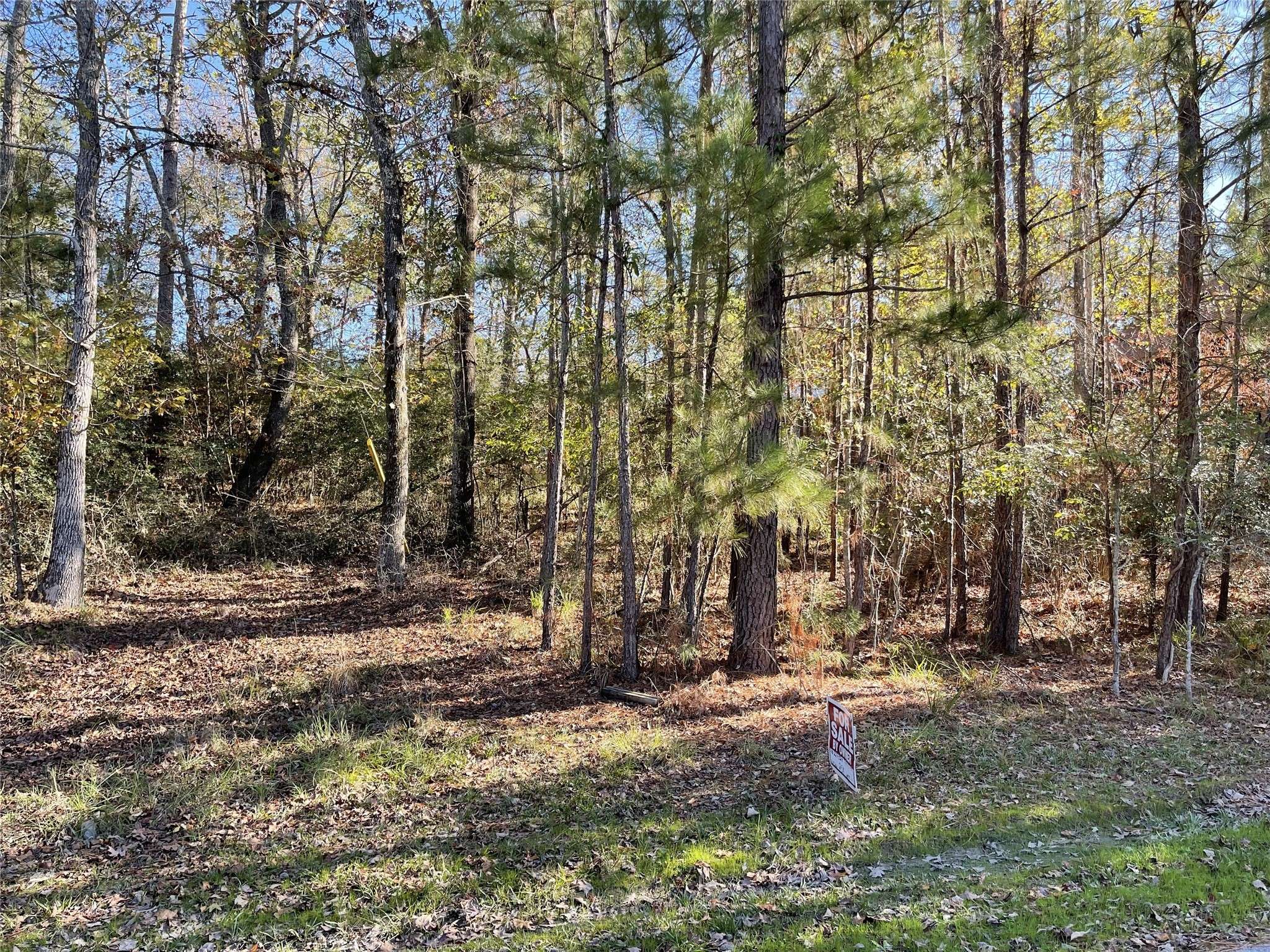 Trinity, TX 75862,0 Ridge Trail