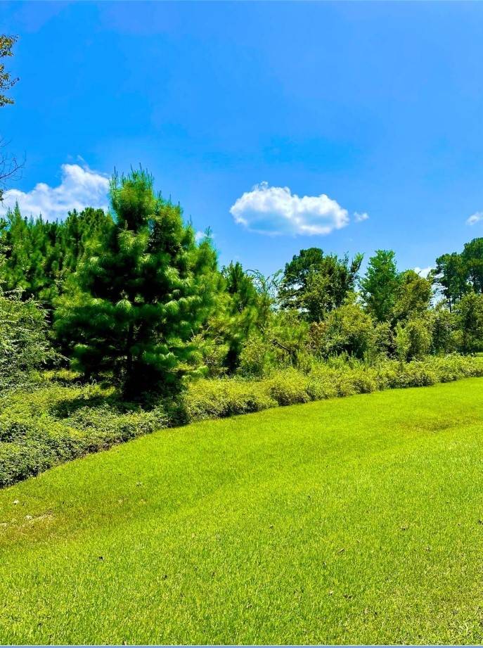 Hempstead, TX 77445,0 Lakeshore DR
