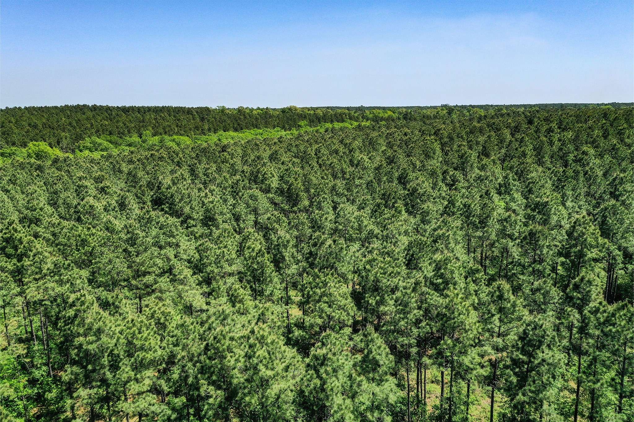 Crockett, TX 75835,18.897 Ac CR 1050