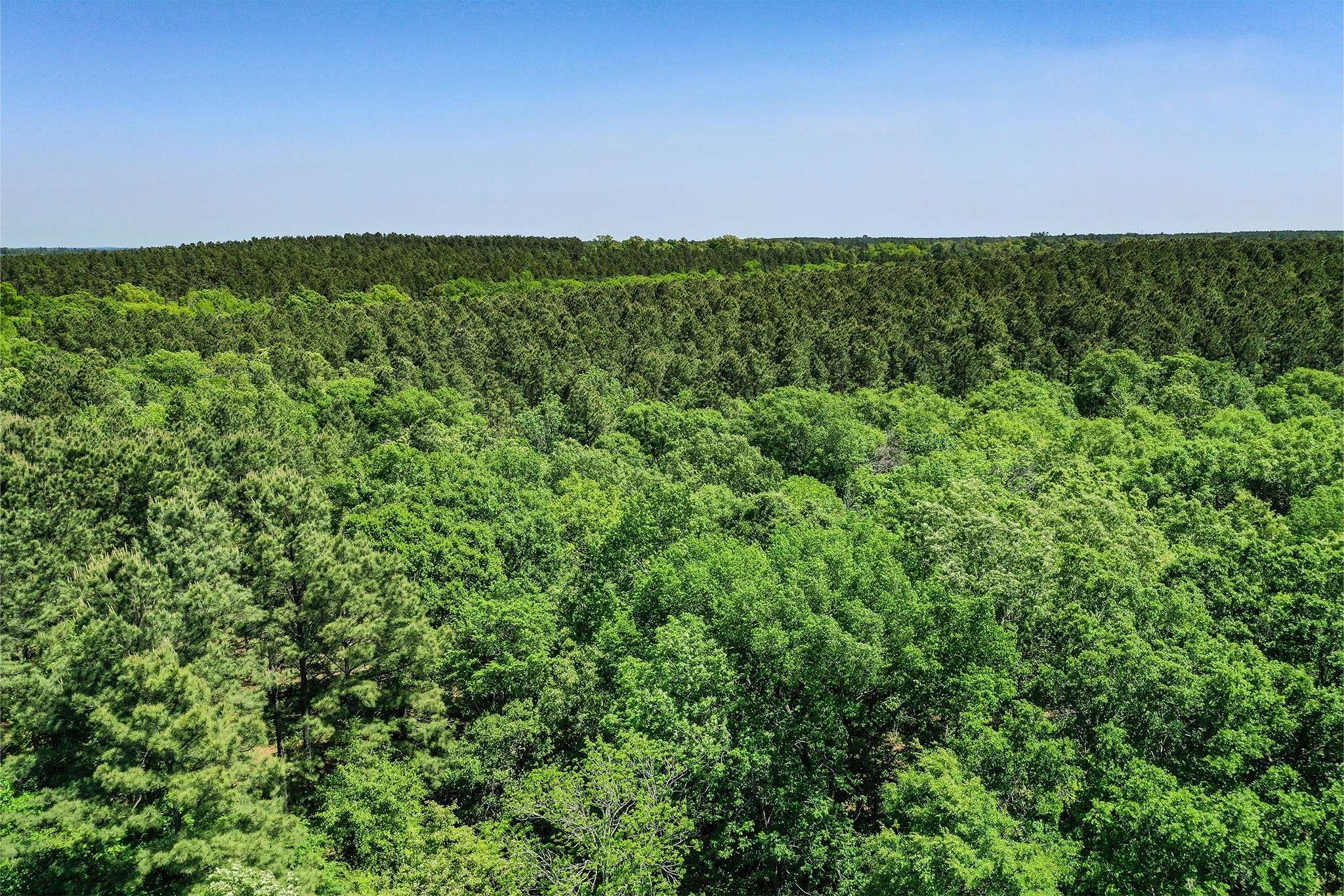 Crockett, TX 75835,18.897 Ac CR 1050