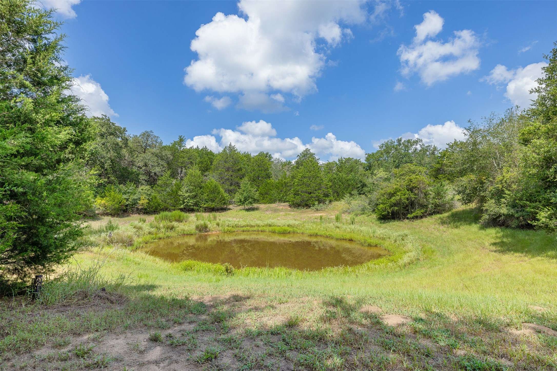 Caldwell, TX 77836,9795 County Road 316