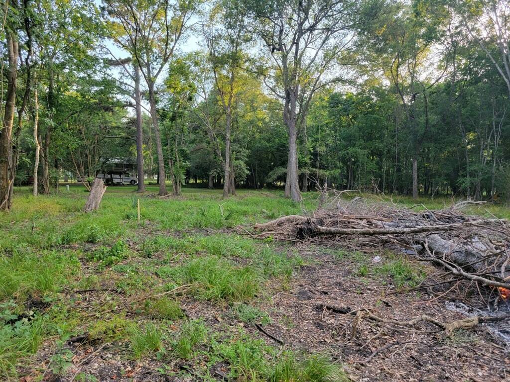 Guy, TX 77444,20310 Spruce FRST