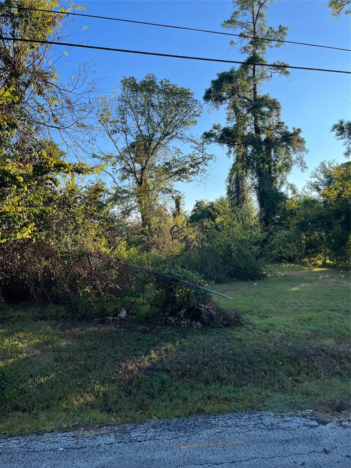 Houston, TX 77028,6908 S Hall ST