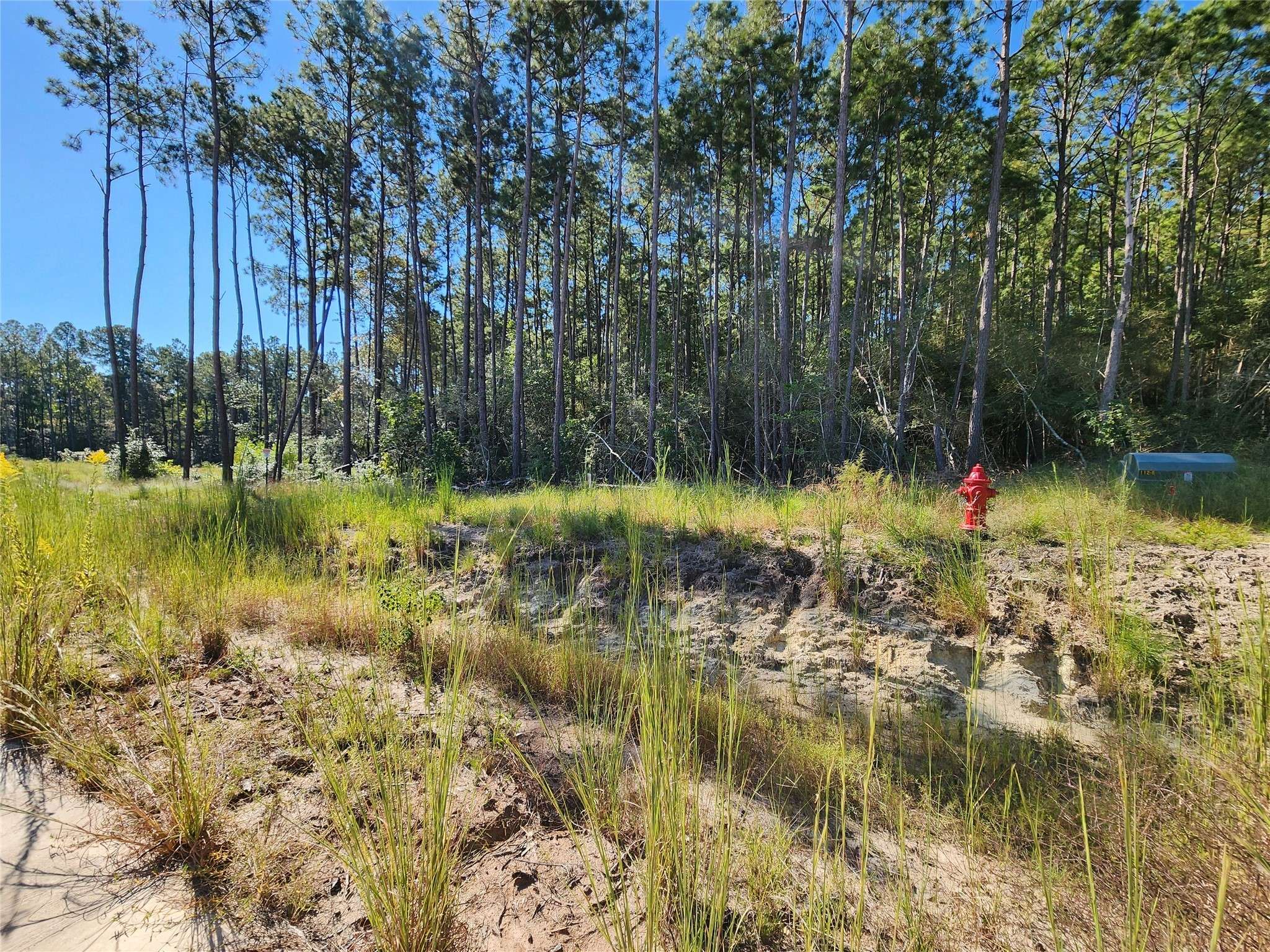 Jasper, TX 75931,145 Rayburn Reserve DR