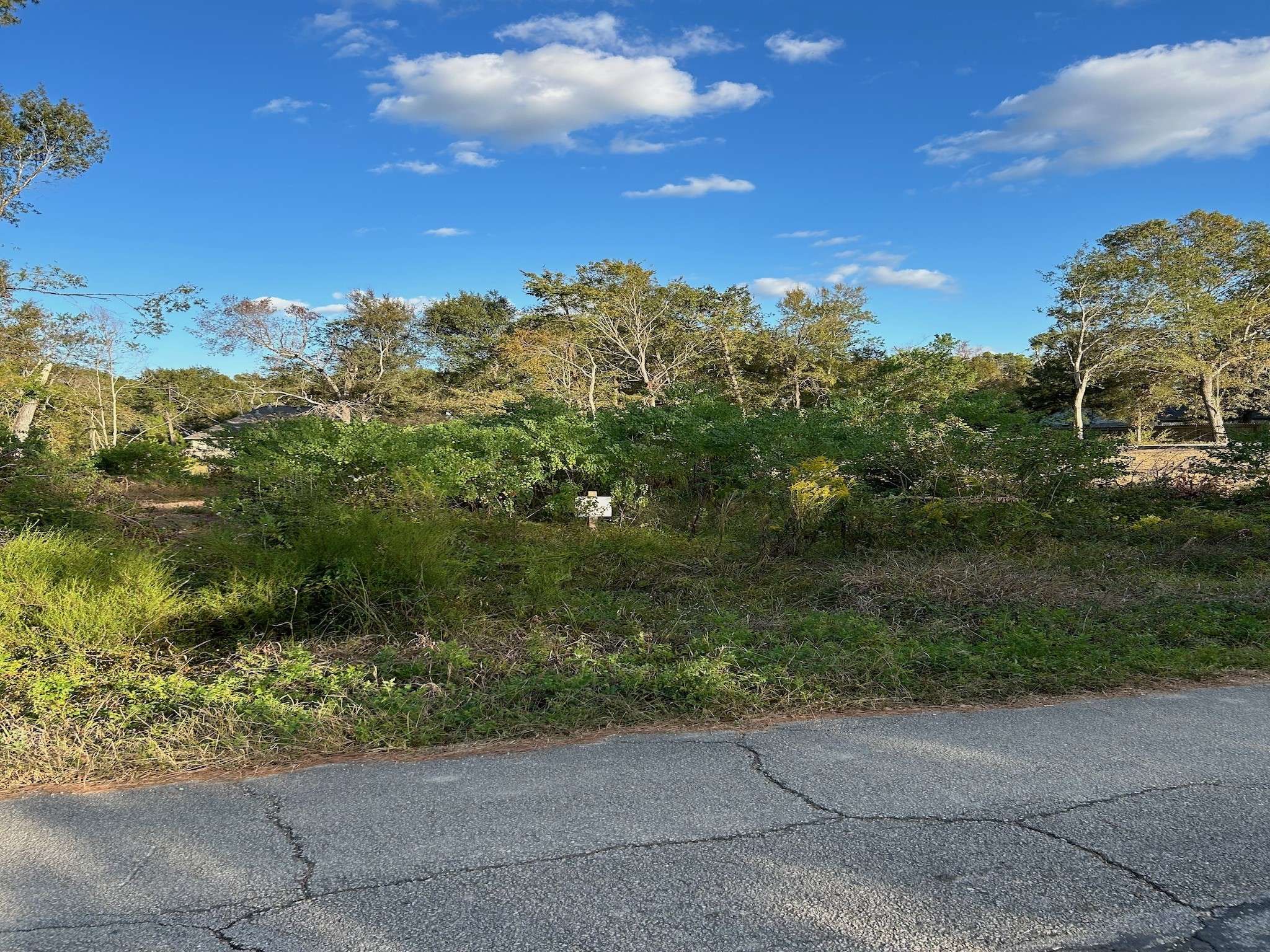 Houston, TX 77336,Lot#4 Woodlake RD