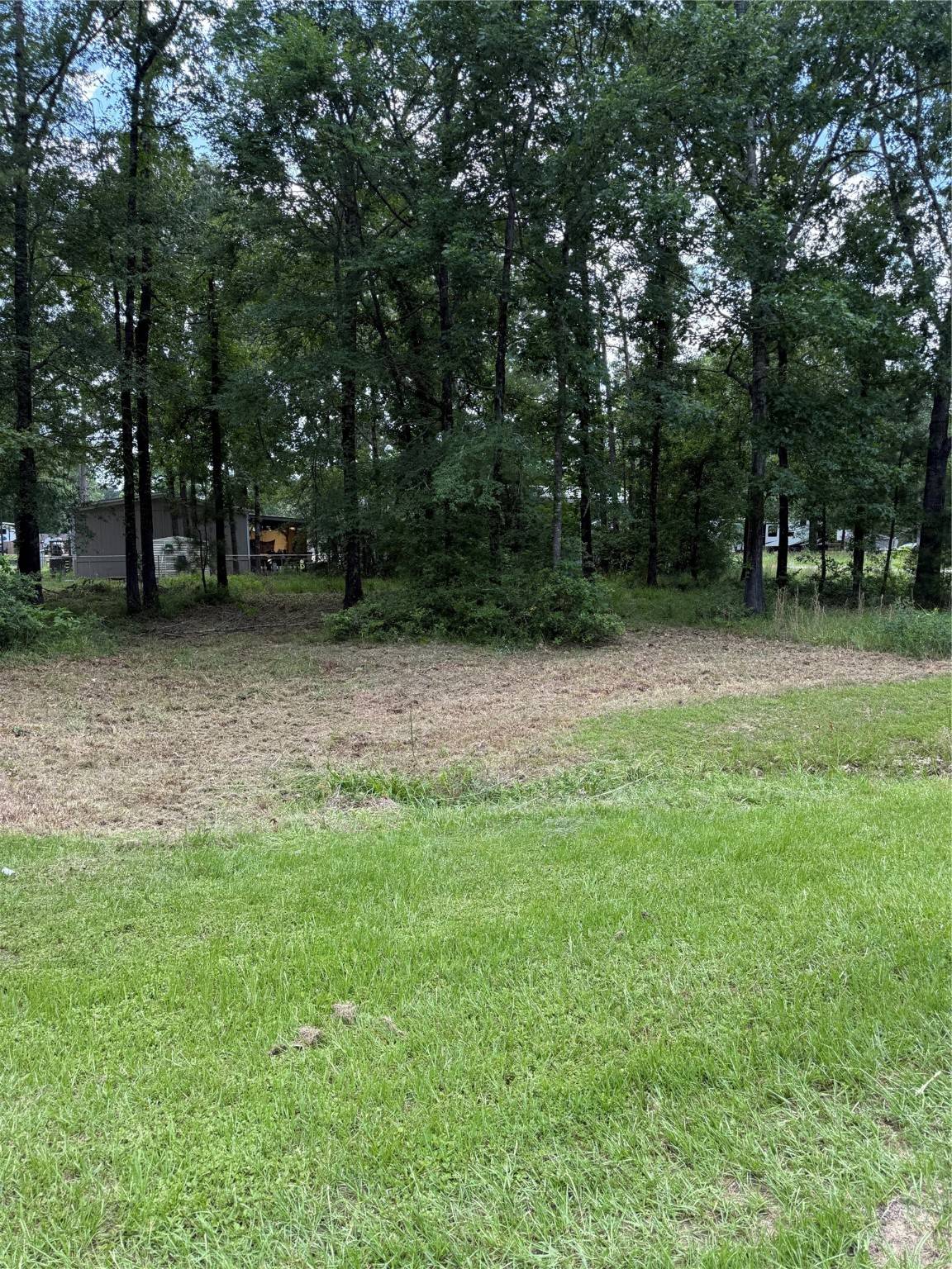 Coldspring, TX 77364,0 Oak DR