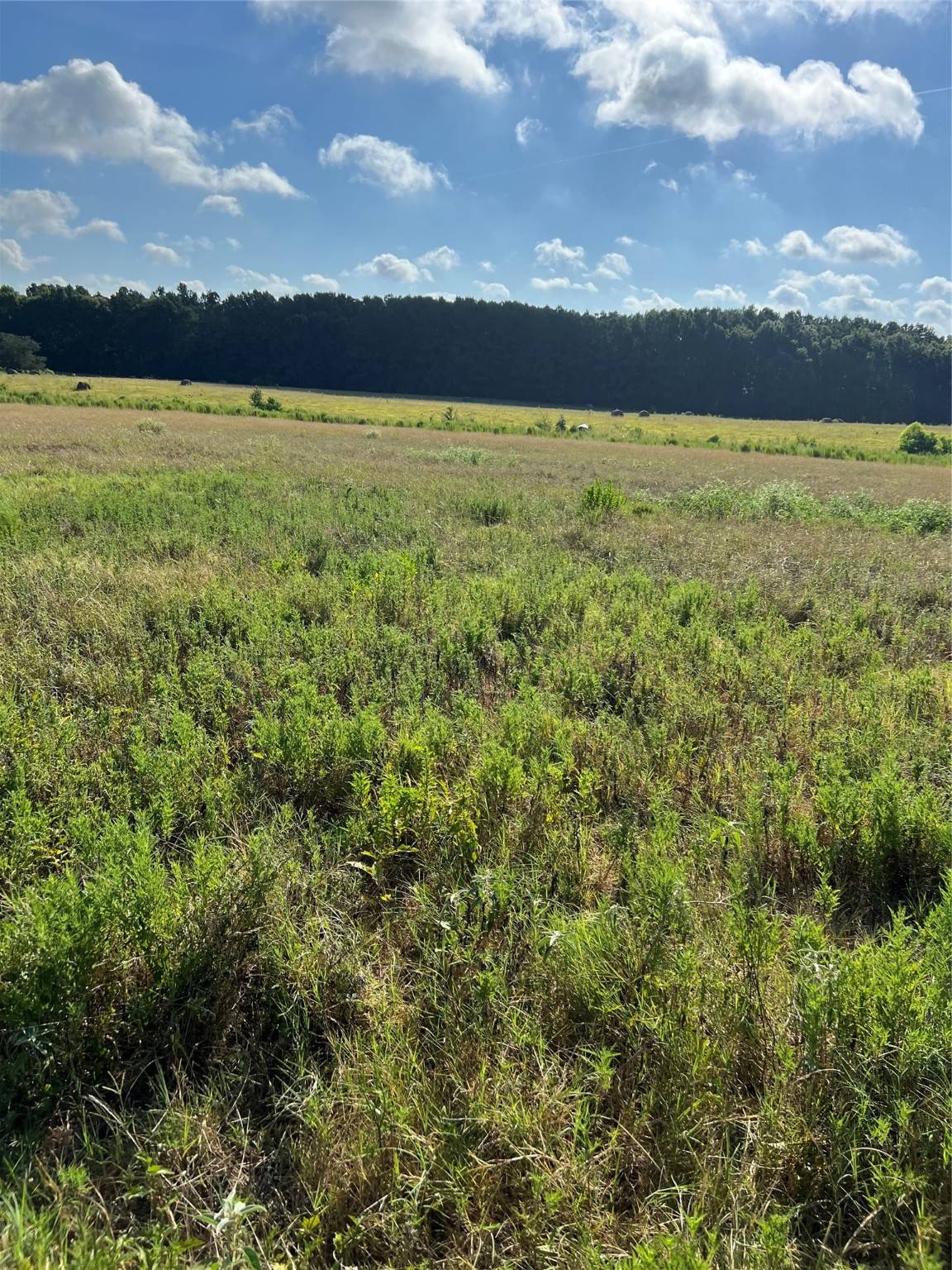 Crockett, TX 75835,TBD CR 4535