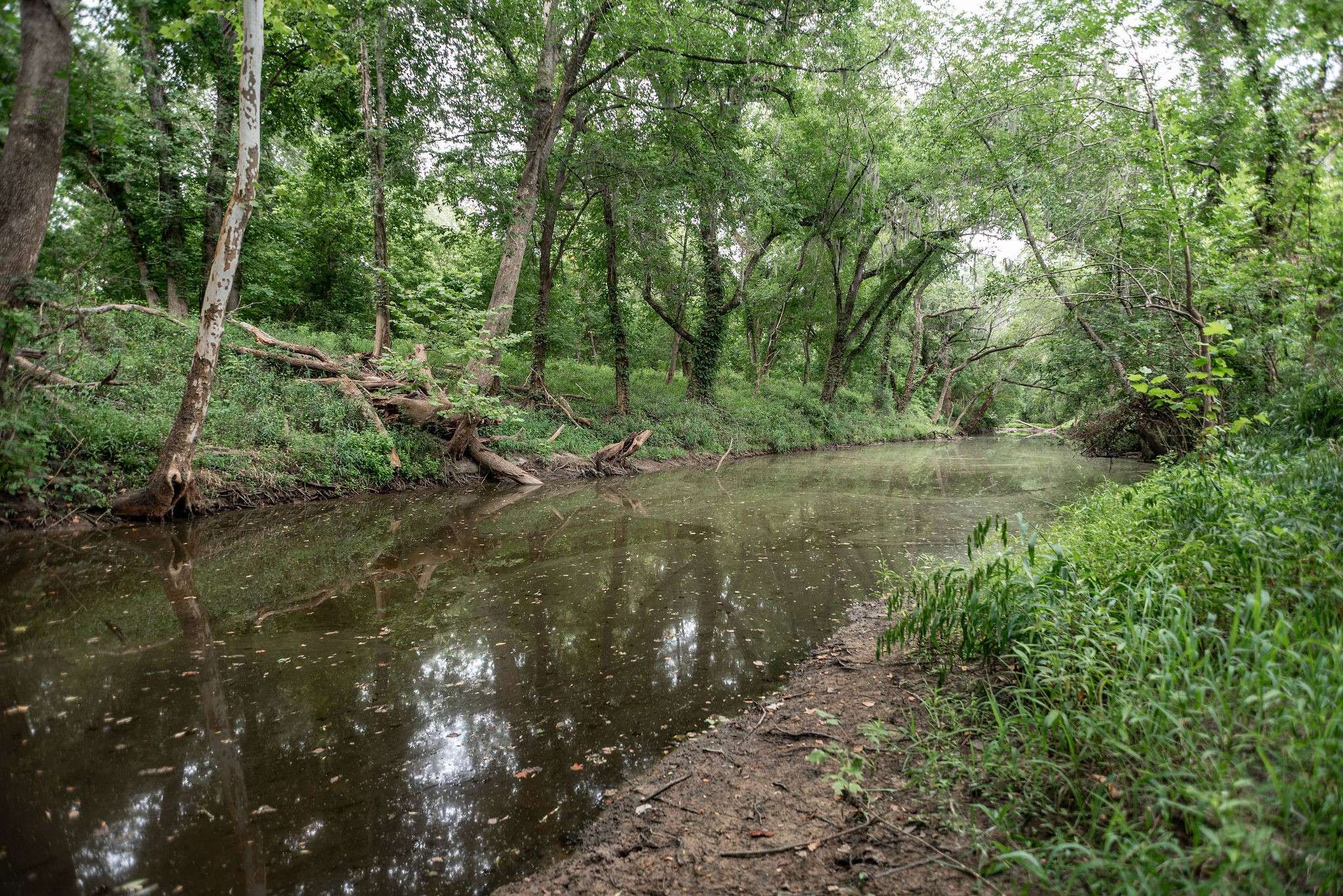 Hallettsville, TX 77964,TBD FM 530