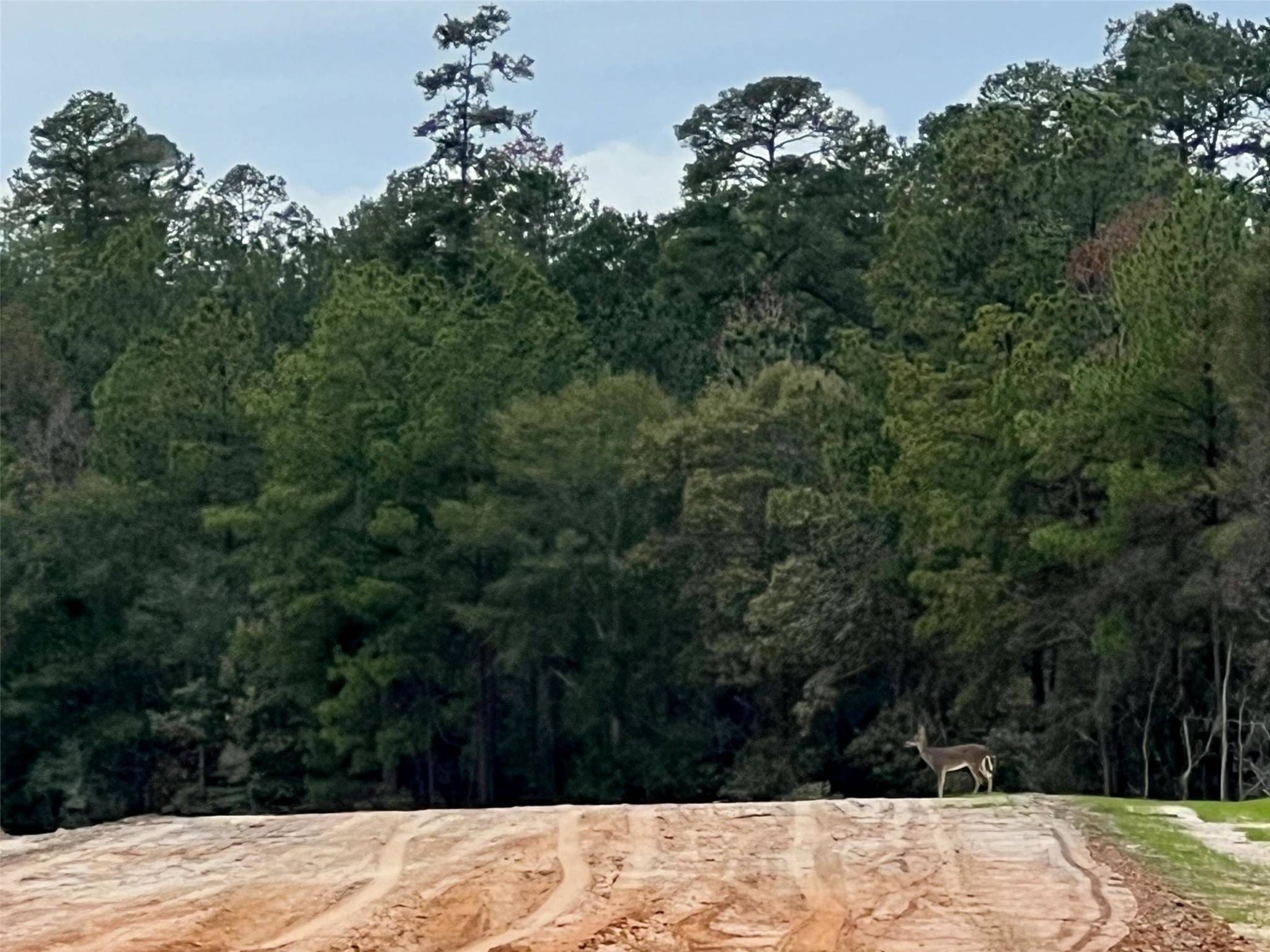 New Waverly, TX 77358,108 Summit DR