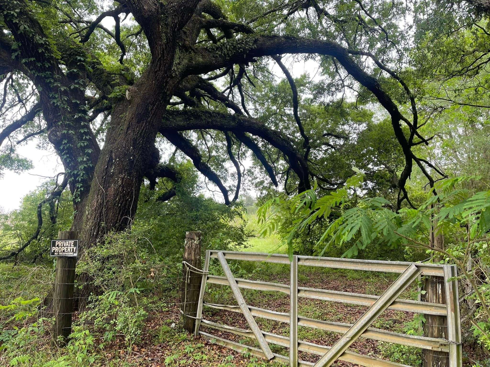 Spurger, TX 77660,TBD County Road 4535