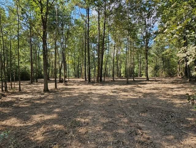 Willis, TX 77378,15815 Ridge Rock RD