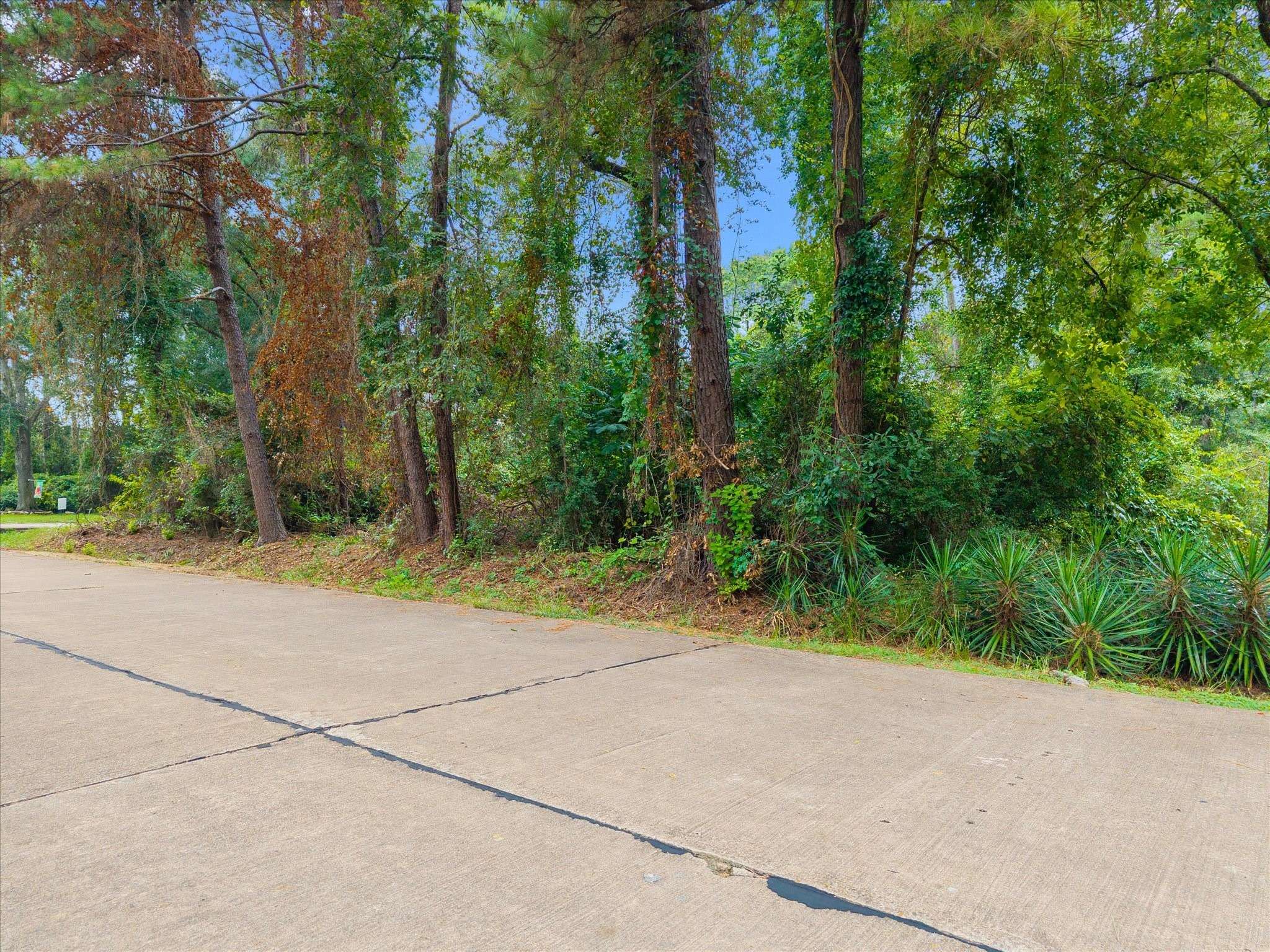 Cypress, TX 77429,12623 Adams Run DR