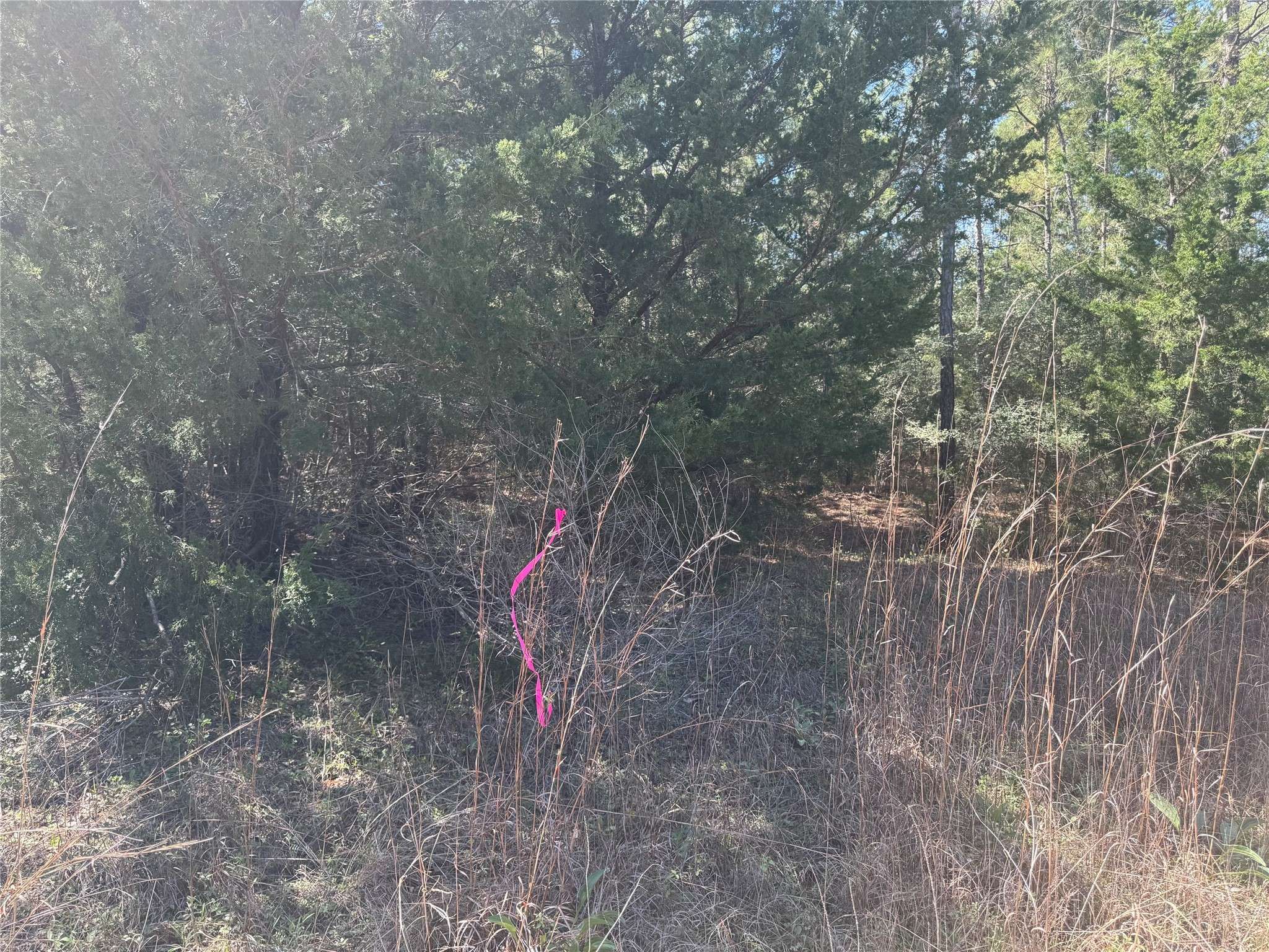 New Waverly, TX 77358,0 Forgotten Forest DR