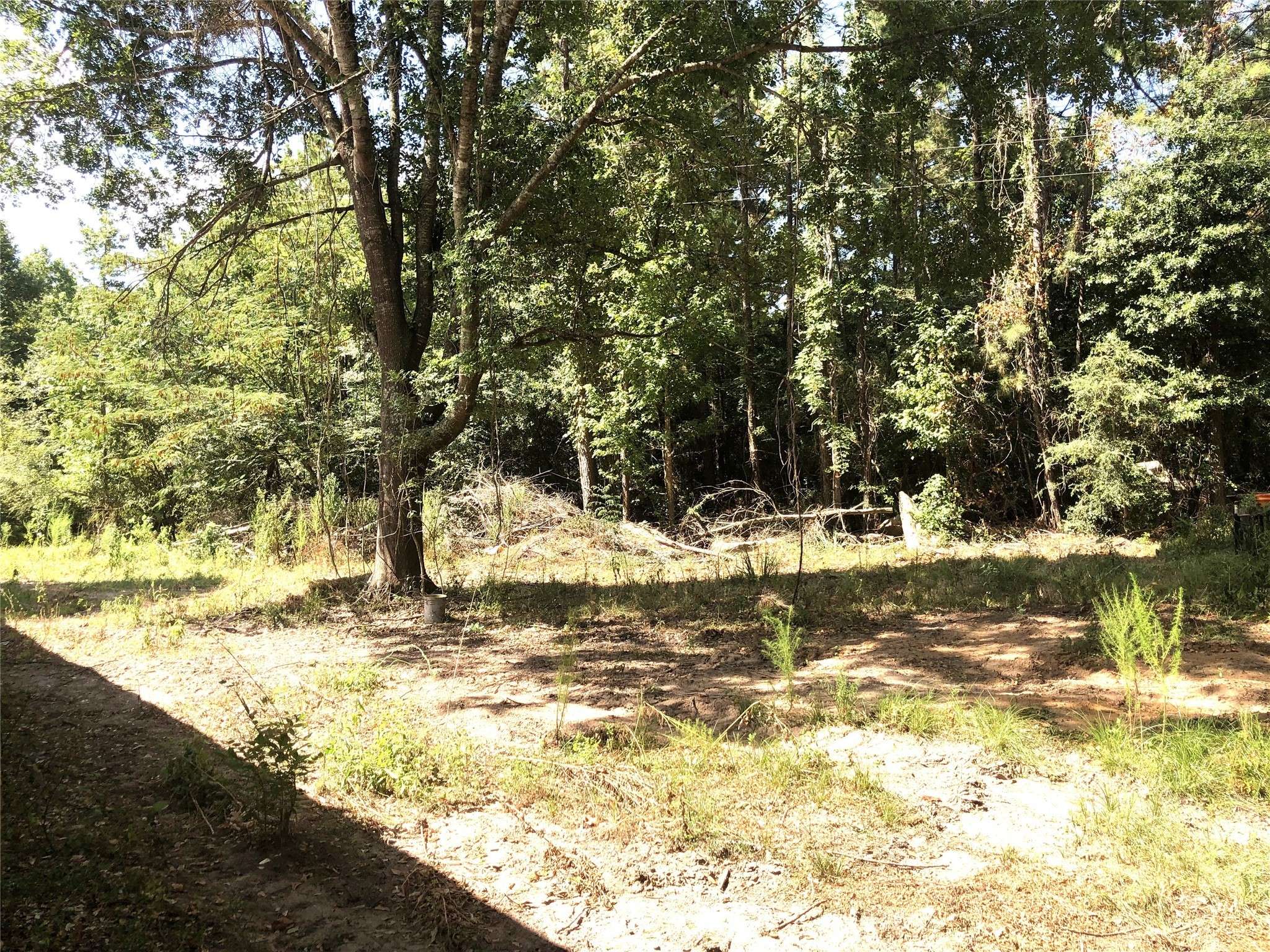 Coldspring, TX 77331,Tract 3.1 Sylvia TRL
