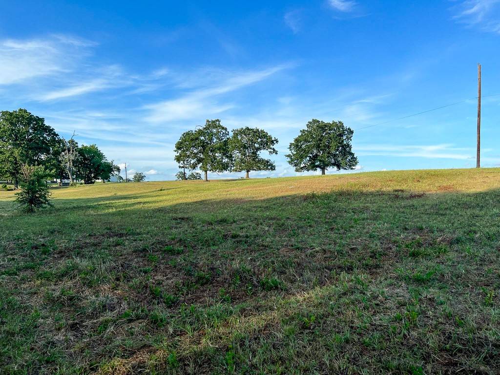 Plantersville, TX 77363,6275 County Road 206