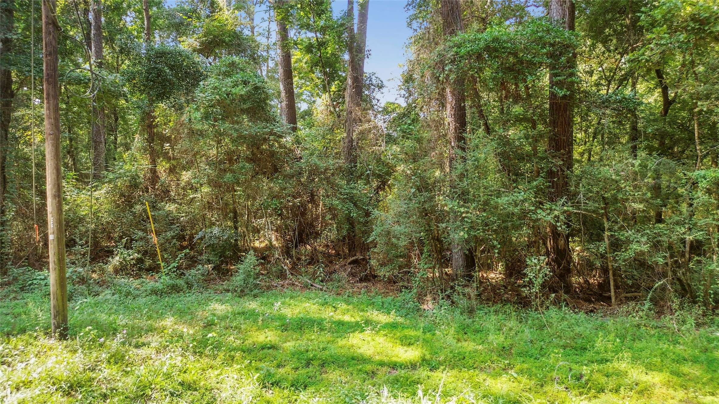 Conroe, TX 77303,12865 Royal Forest Dr